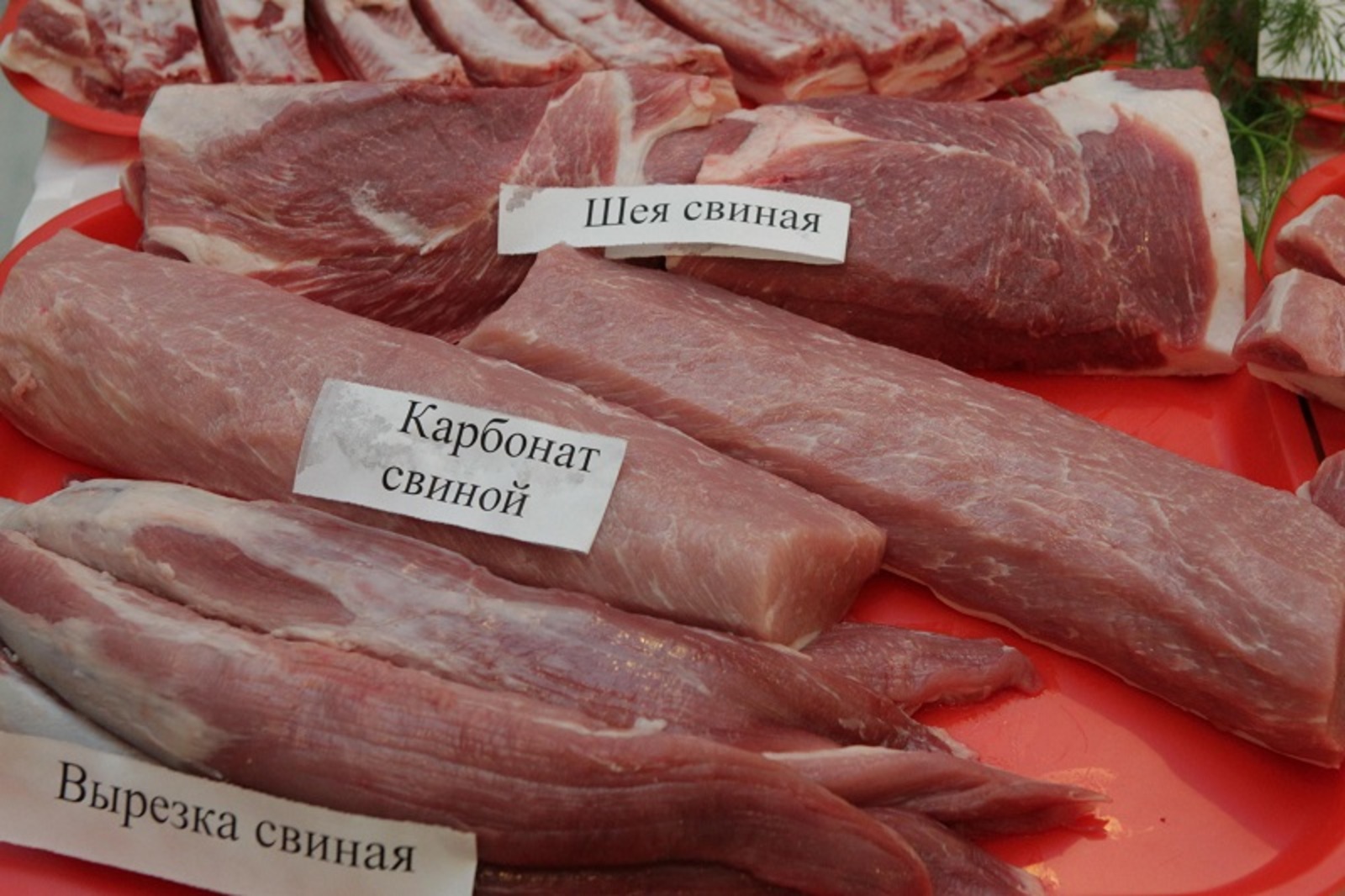 Фото Олега Яровикова.