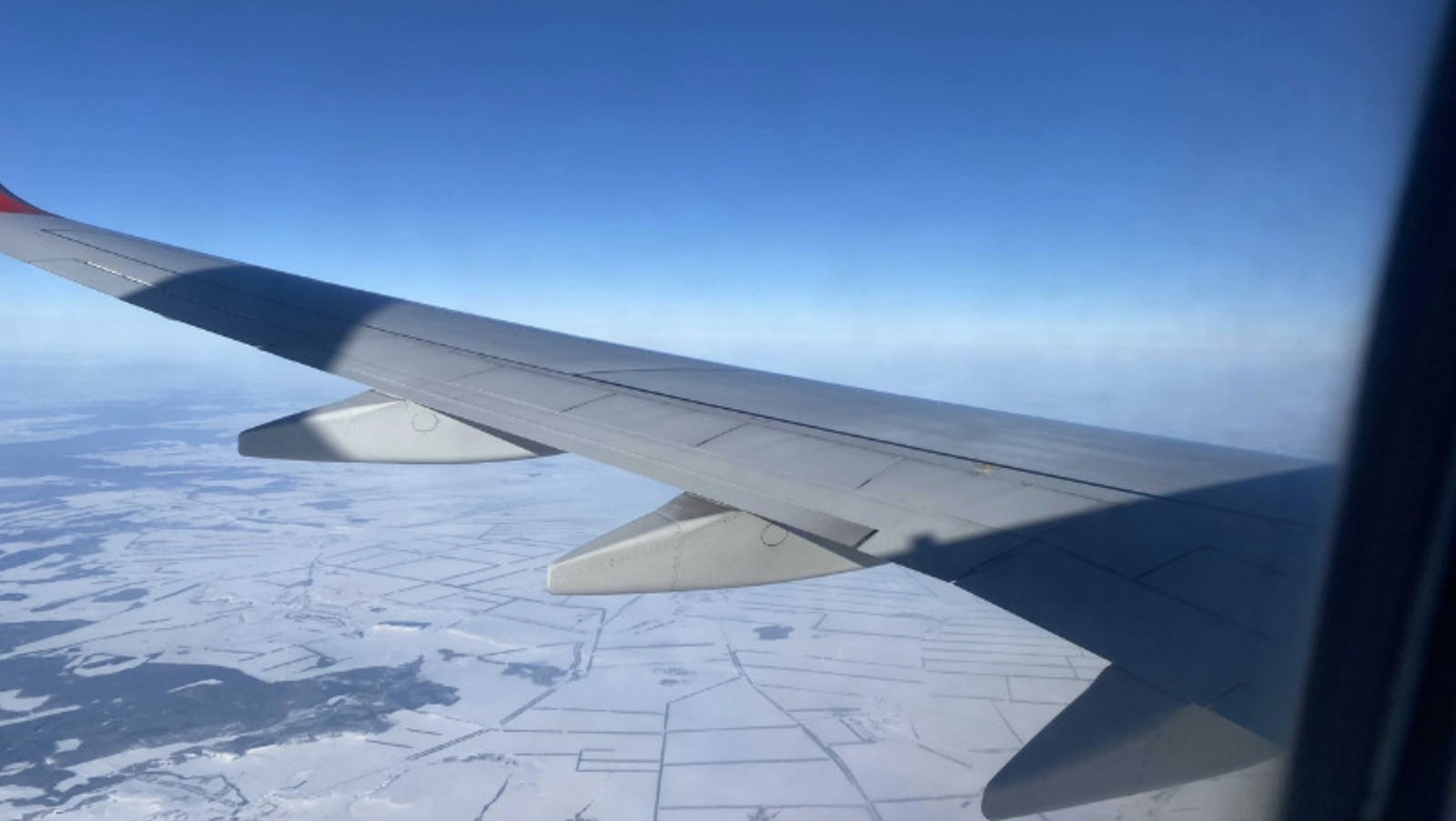 Елены Колоколовой.