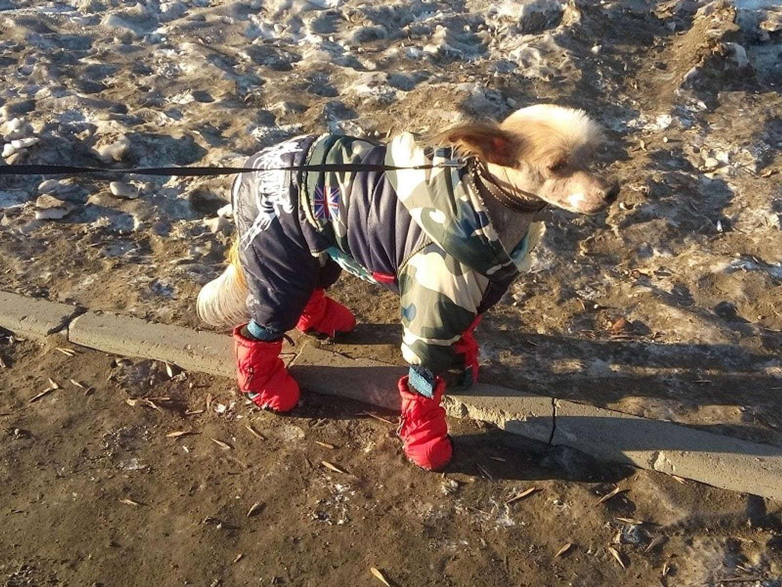 Фото автора.