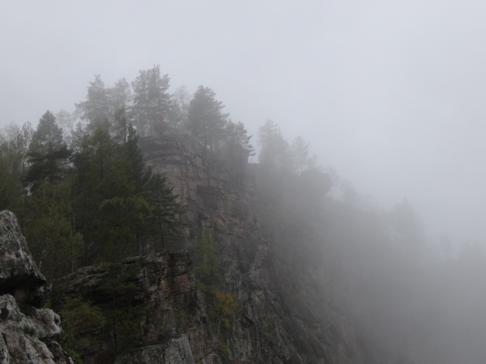 Фото Елены Колоколовой.