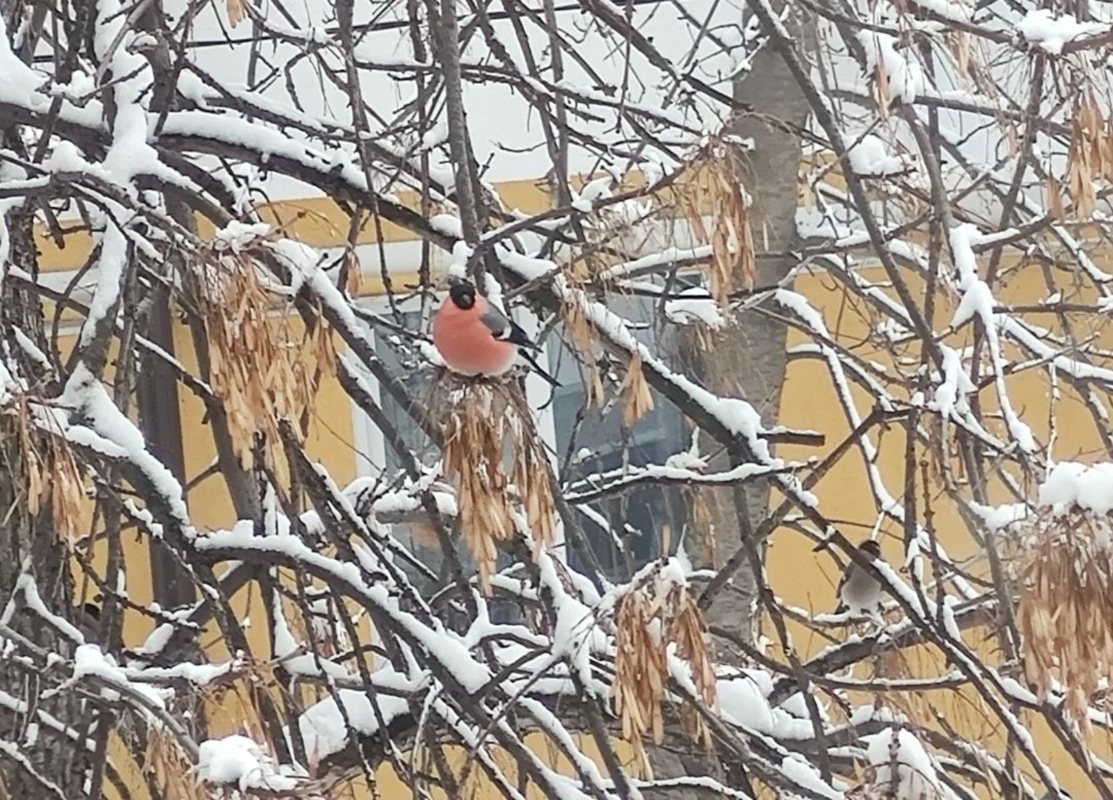Дарьи Святохиной.