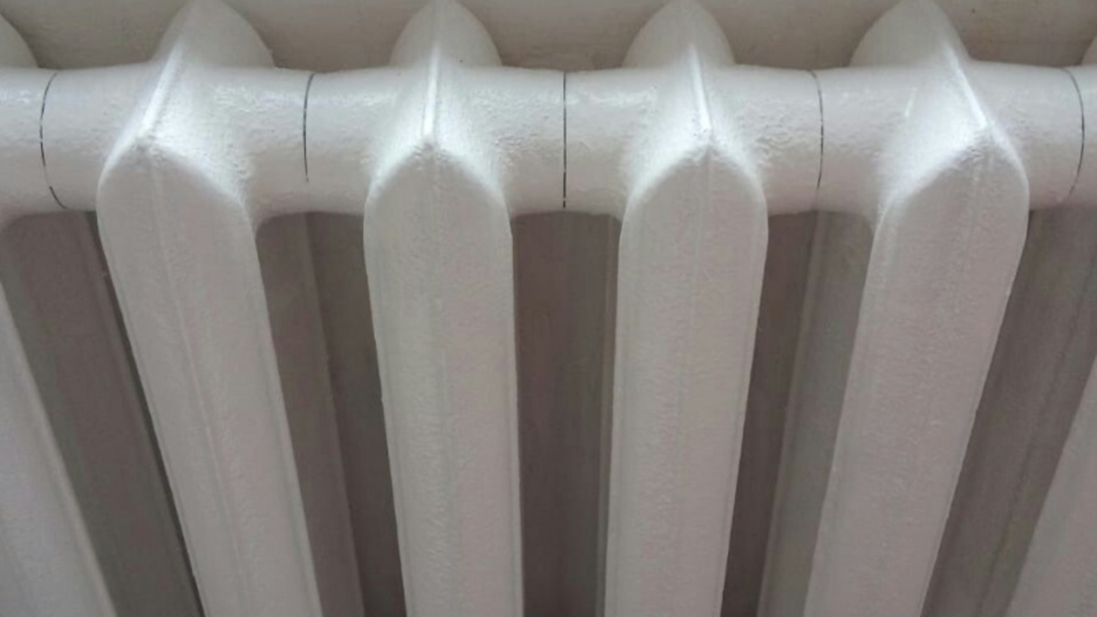 Фото Евгении Сюткиной.