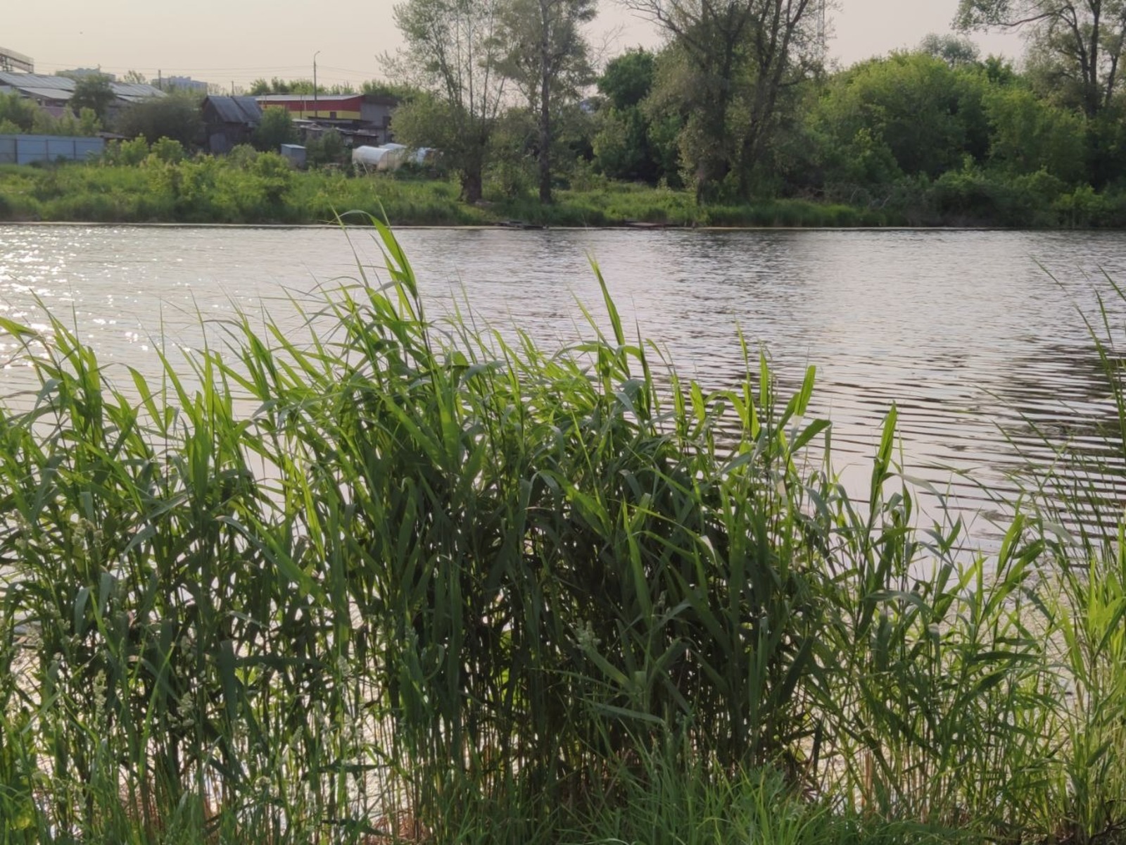 Дарьи Святохиной.