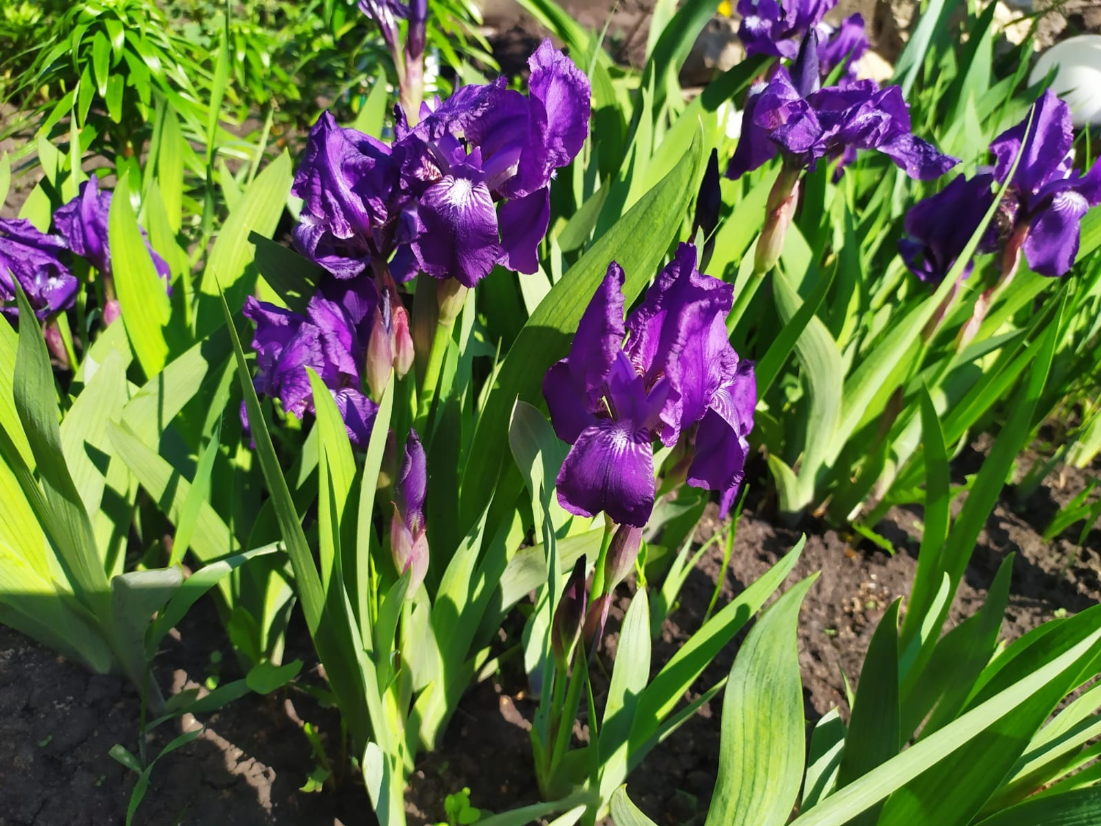 Васили Саитовой. «Общественная электронная газета».