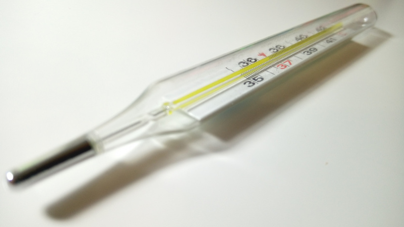 Фото Васили Саитовой.