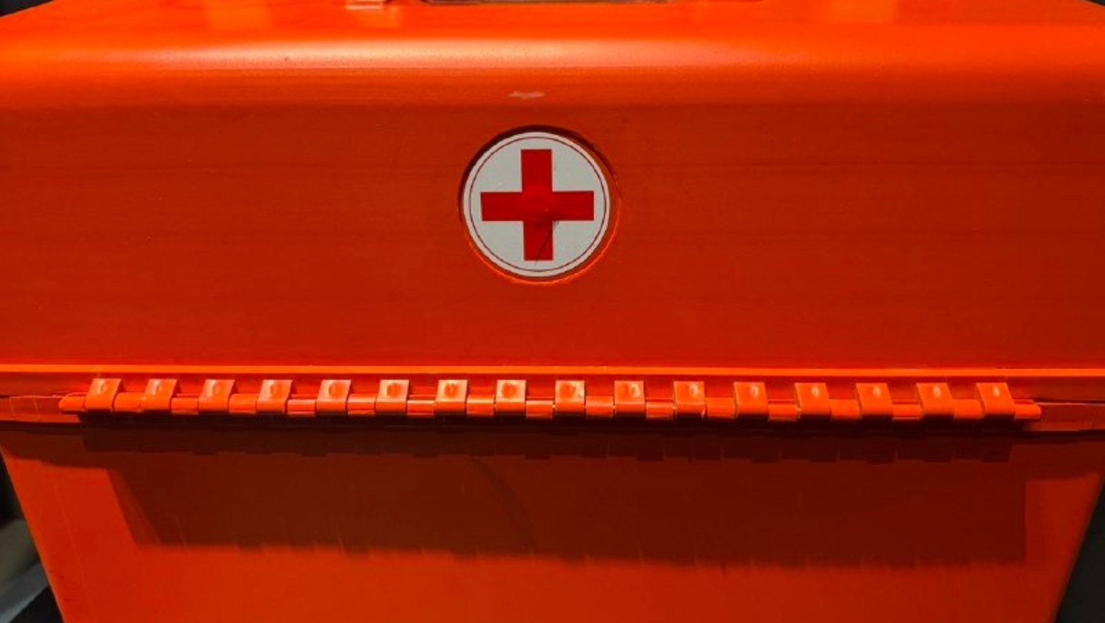 Елены Колоколовой.  «Общественная электронная газета».