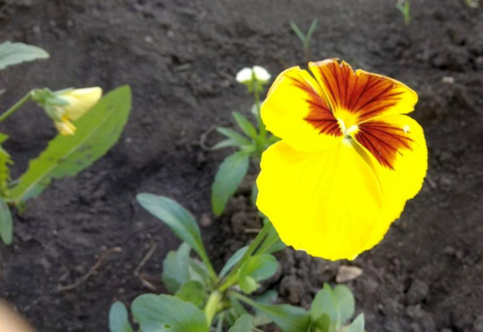 Фото Васили Саитовой.