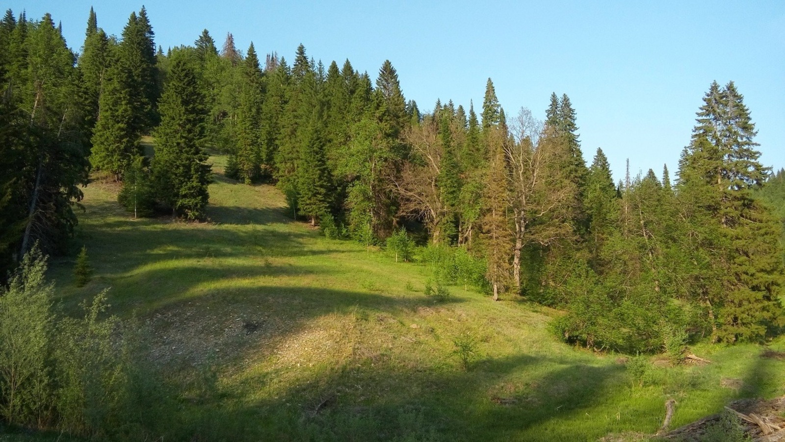 Евгении Сюткиной.