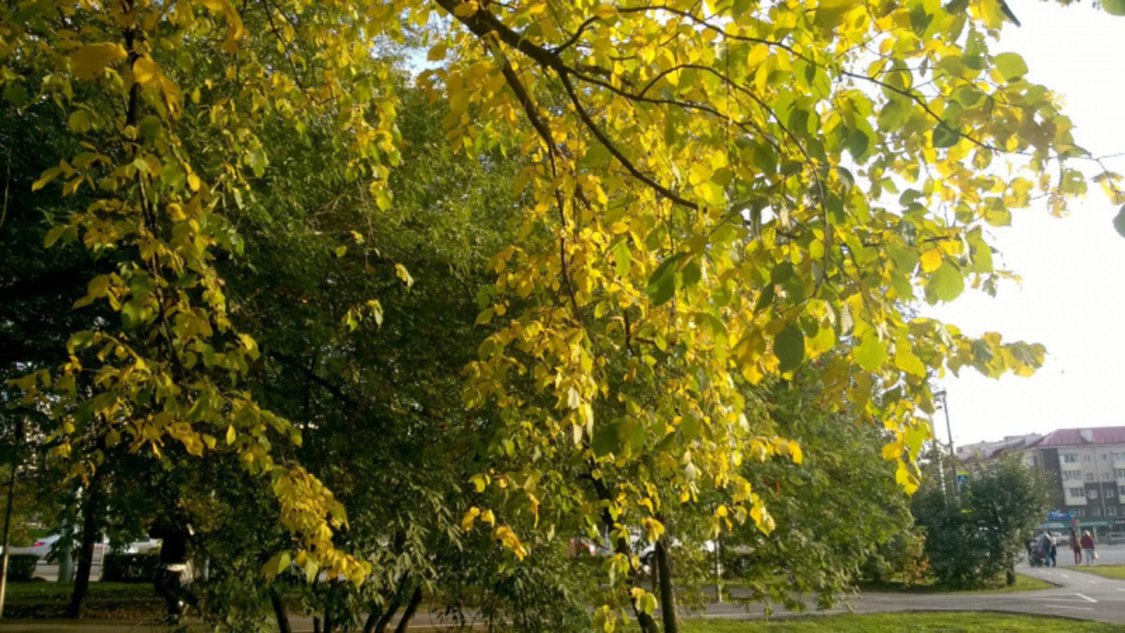 Фото автора.