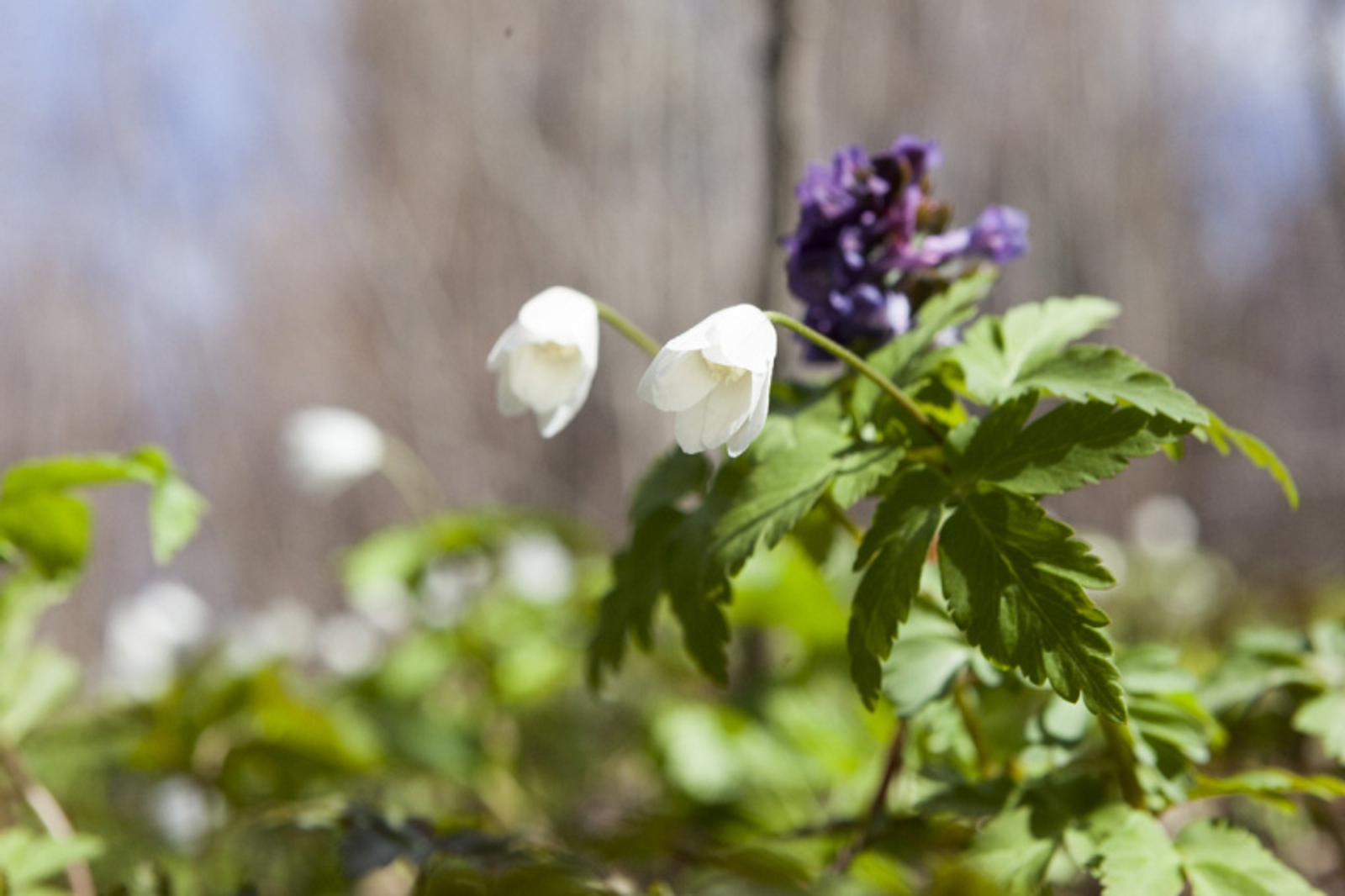 Фото Евгении Сюткиной.