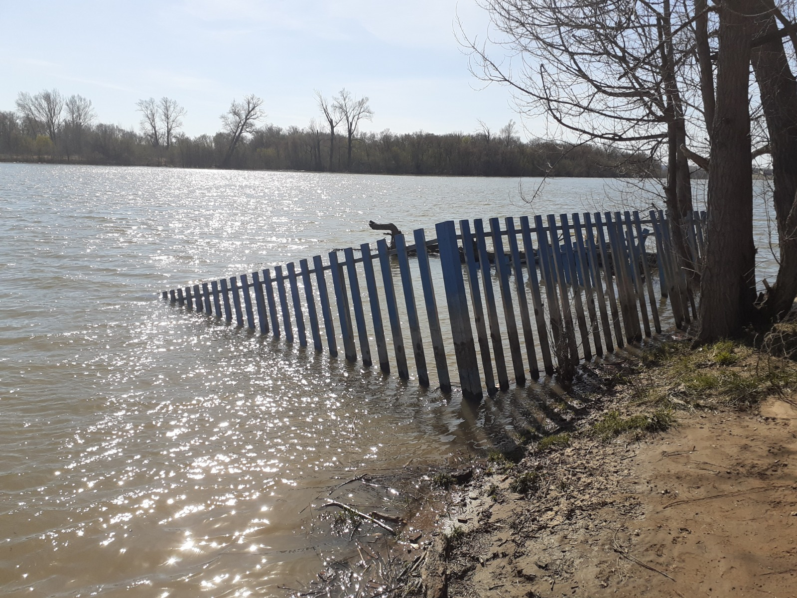 Владимира Шакиева.  «Общественная электронная газета».