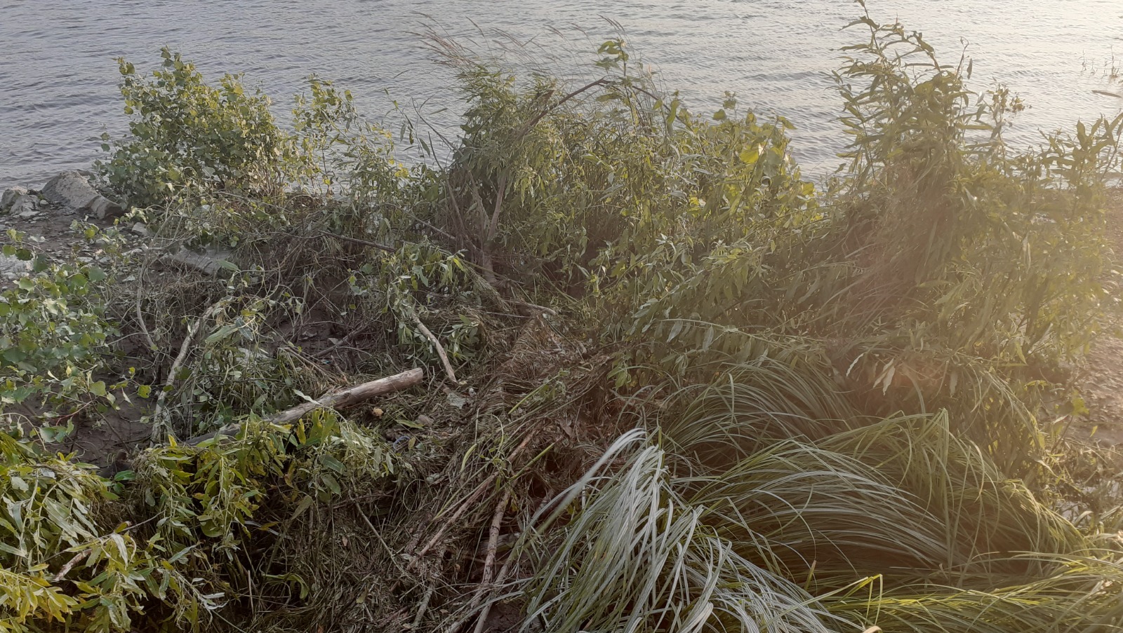 Владимира Шакиева.