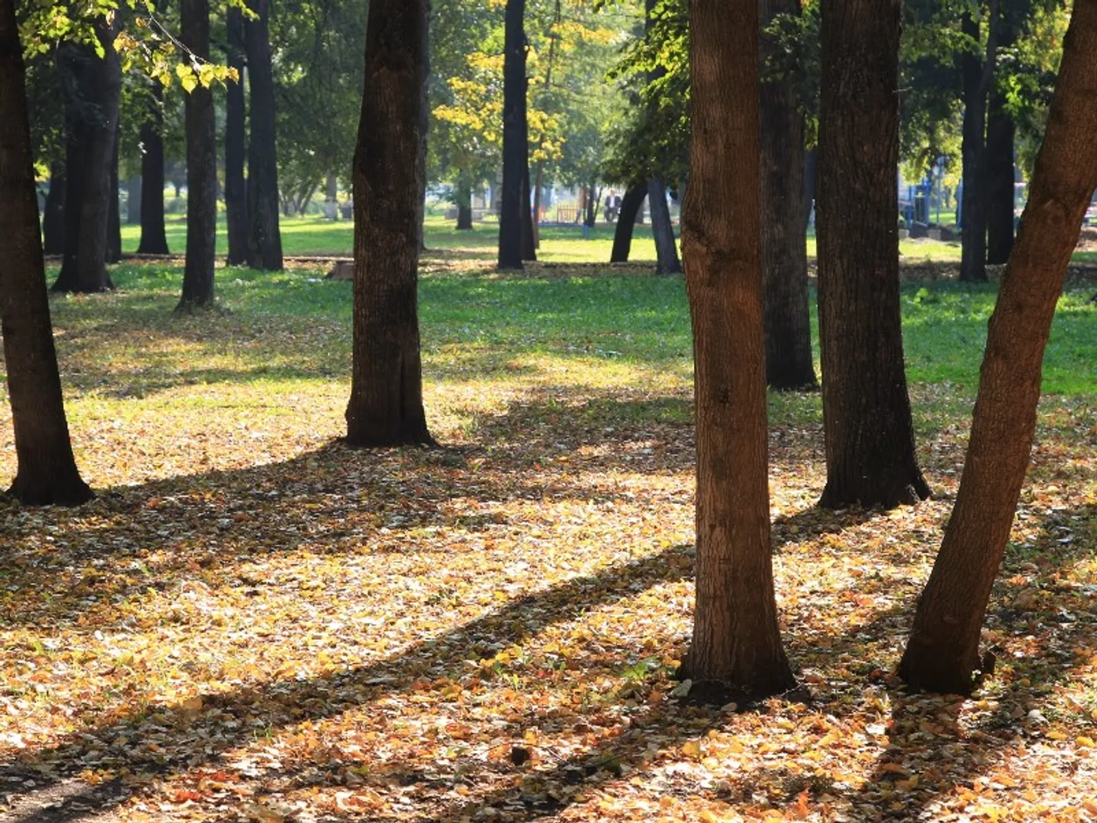 Фото Олега Яровикова.