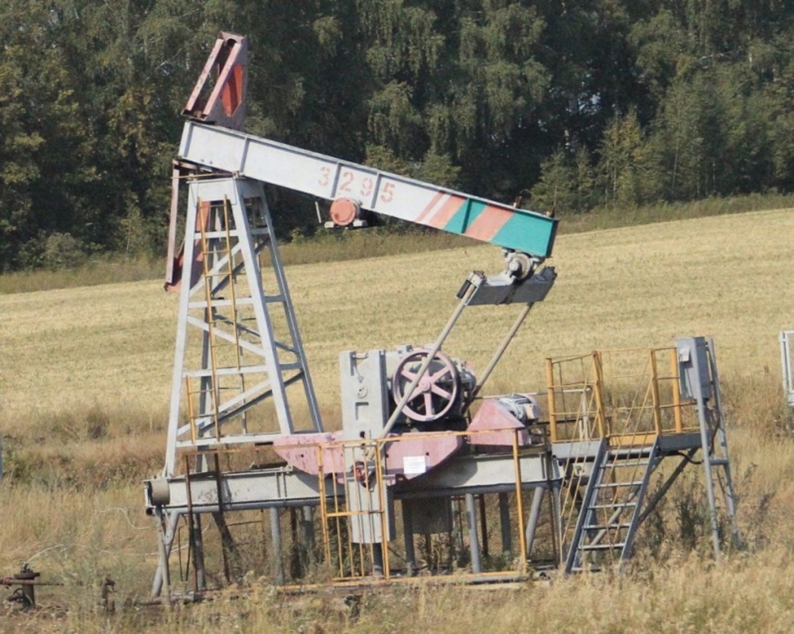 Фото Олега Яровикова.