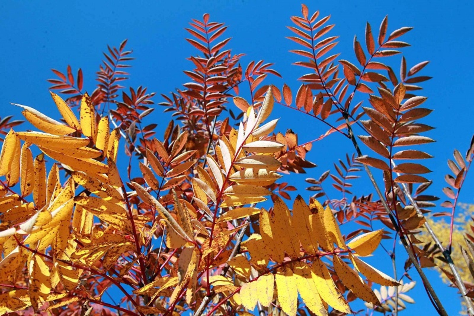 Фото Олега Яровикова.