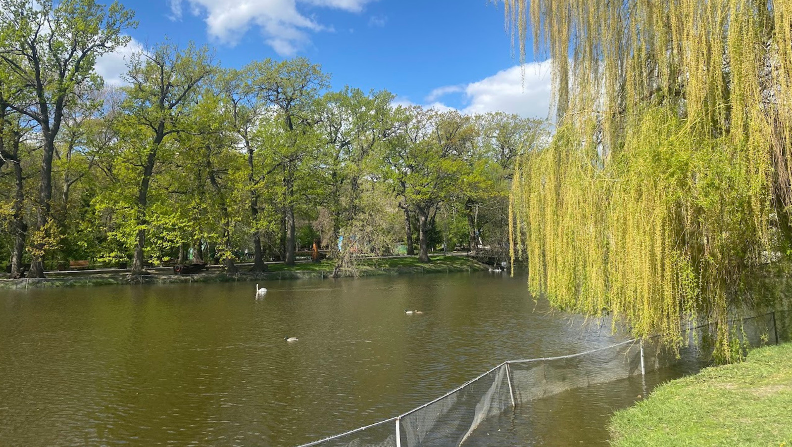 Елены Колоколовой.