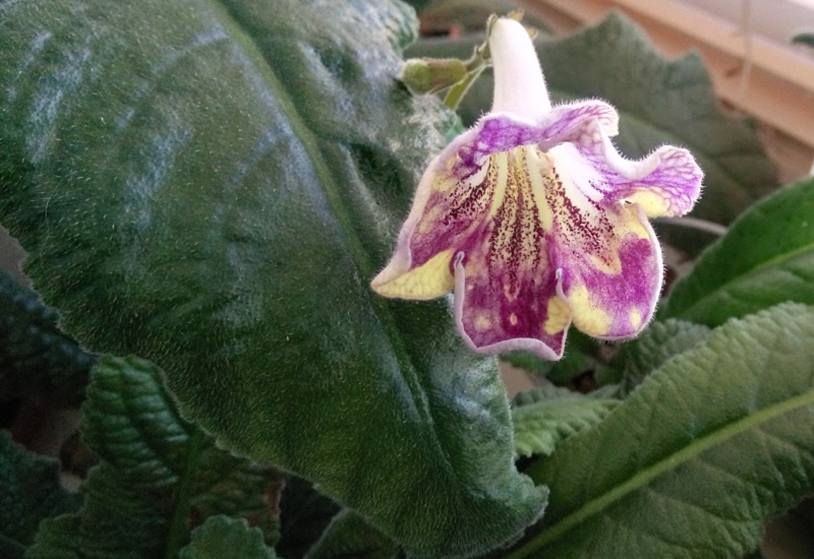 Фото Васили Саитовой.