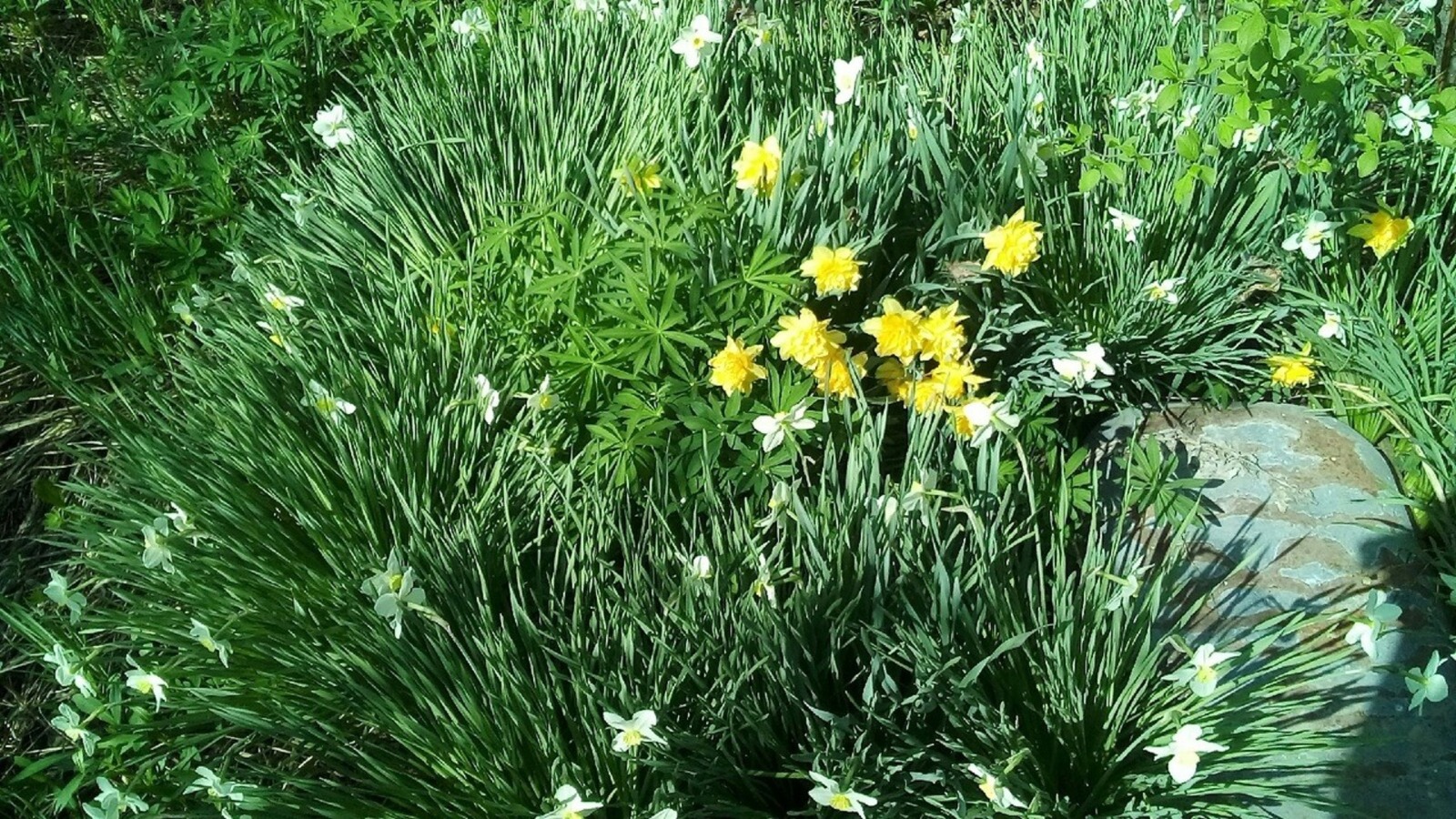 Евгении Сюткиной.