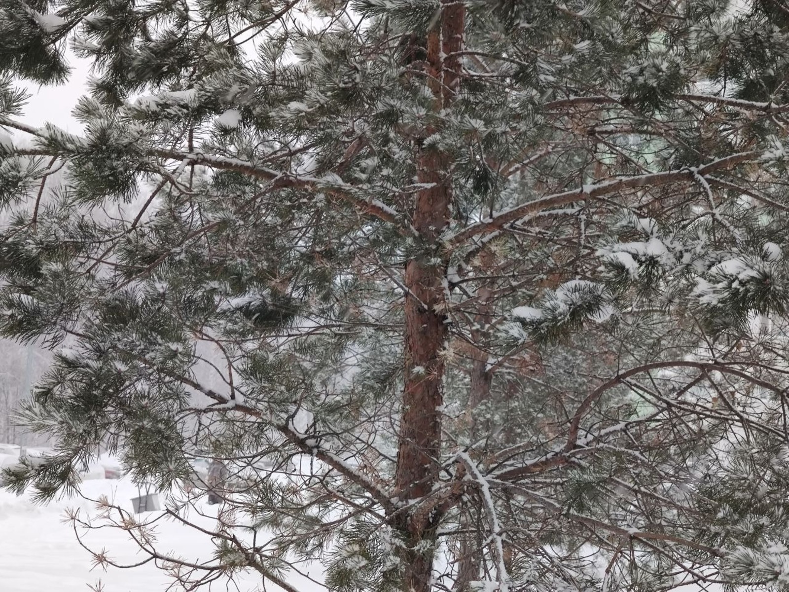 Дарьи Святохиной. «Общественная электронная газета».