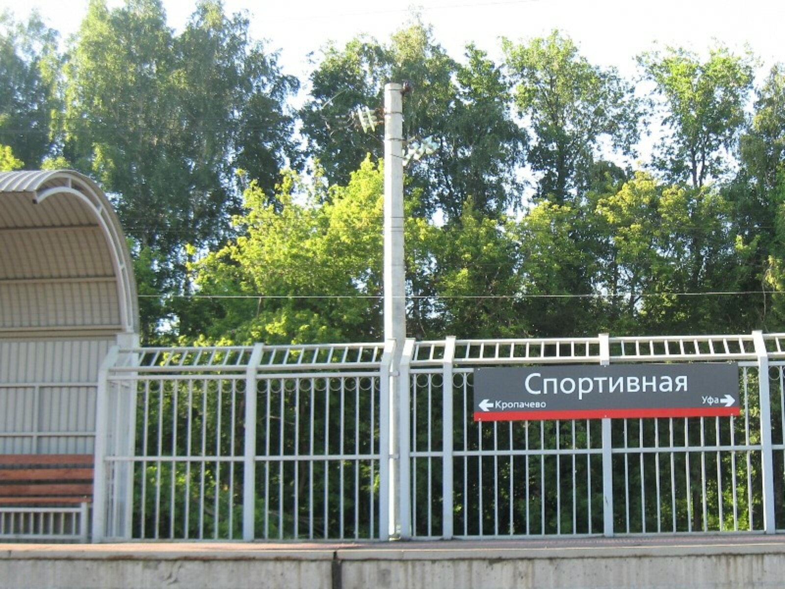 Фото автора.