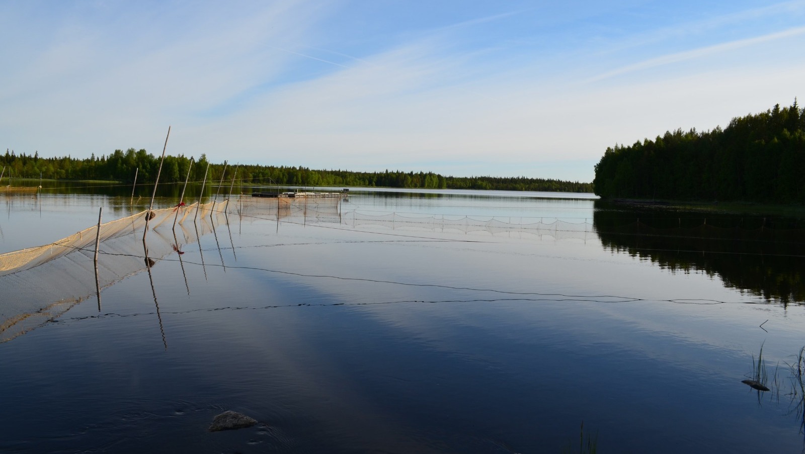 Владимира Шакиева.