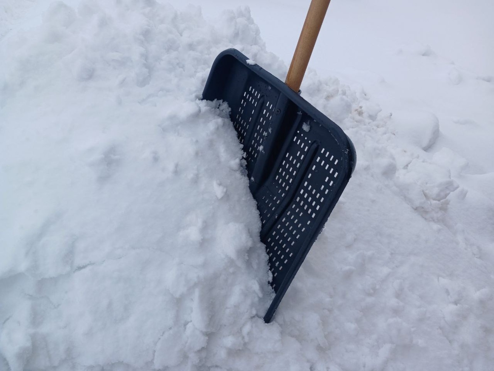 Васили Саитовой. «Общественная электронная газета».