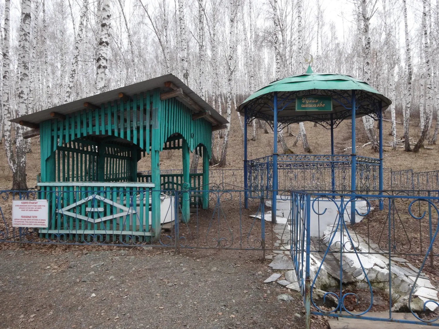 Елены Колоколовой.  «Общественная электронная газета».