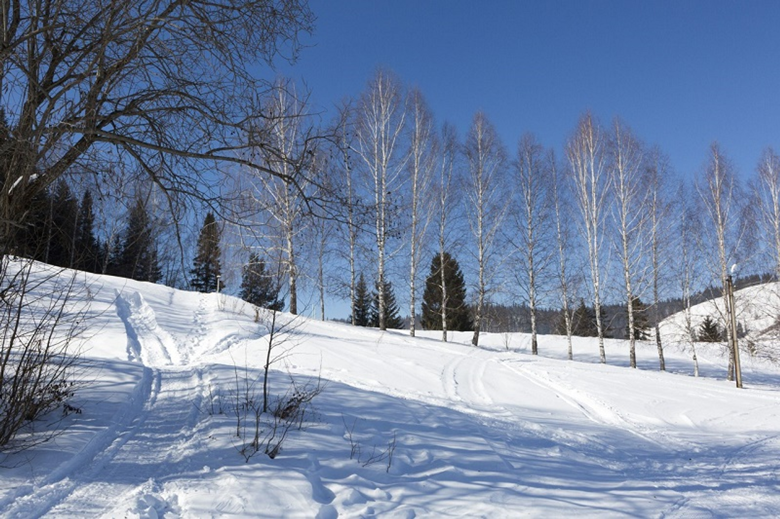 Фото Фаиля Абсатарова.