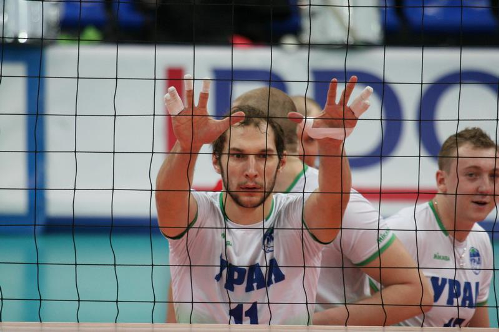 Фото Андрея Старостина.