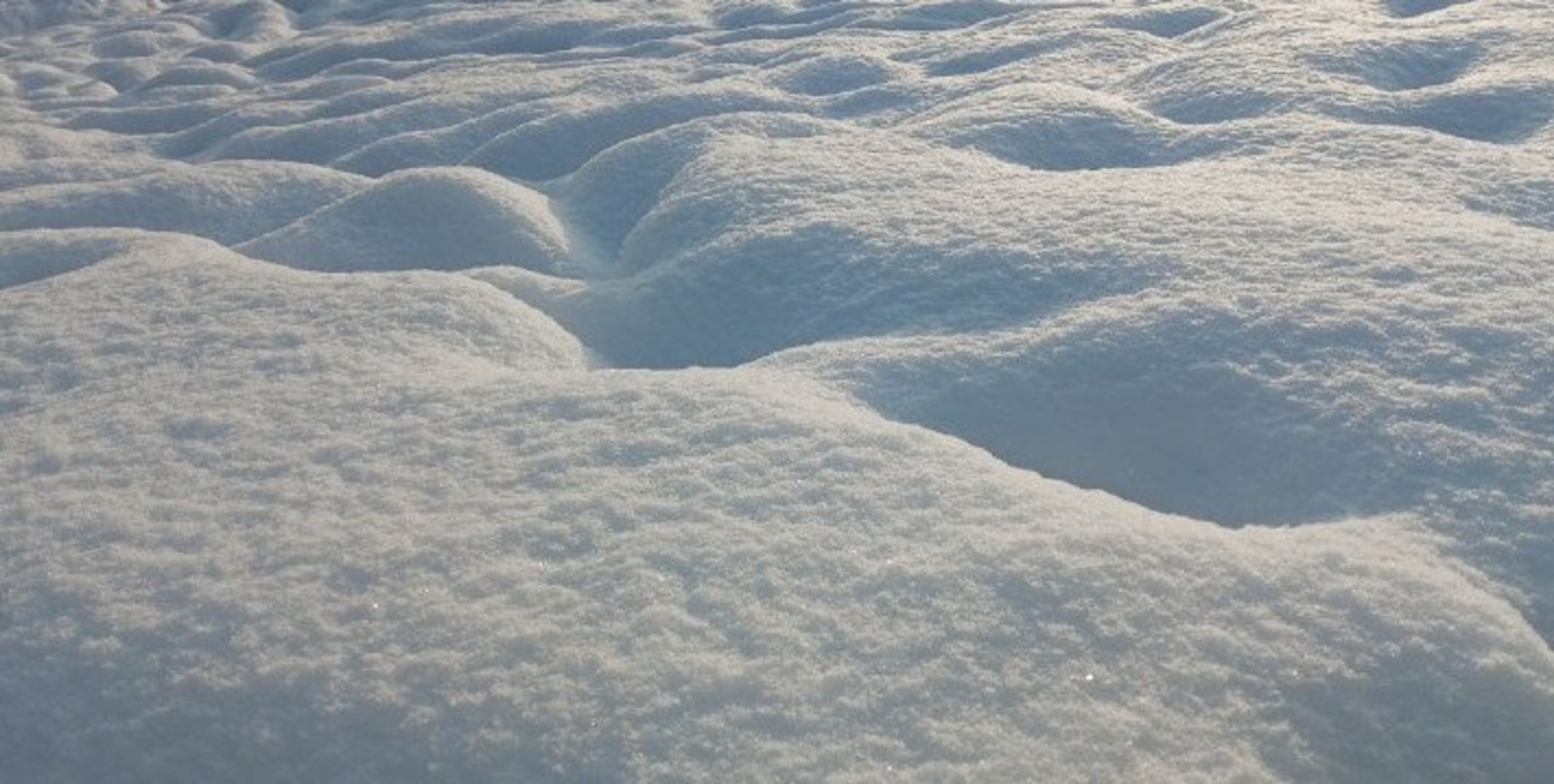 Евгении Сюткиной. «Общественная электронная газета».