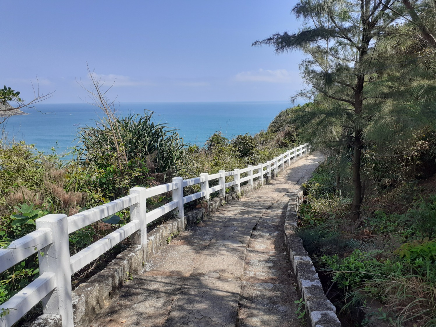 Владимира Шакиева. «Общественная электронная газета».