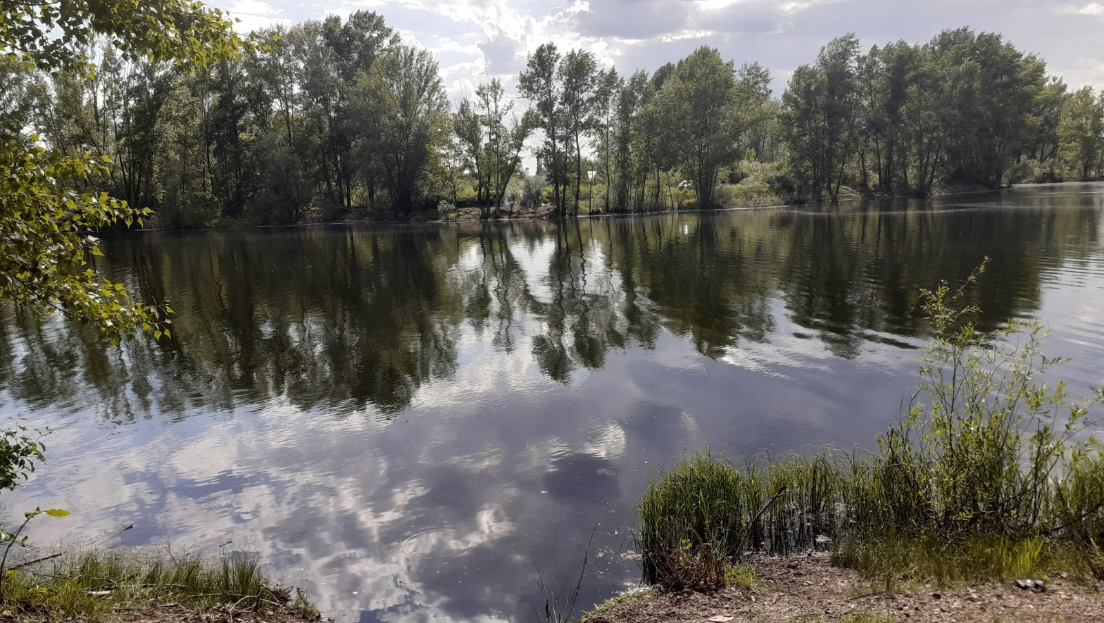 Владимира Шакиева.