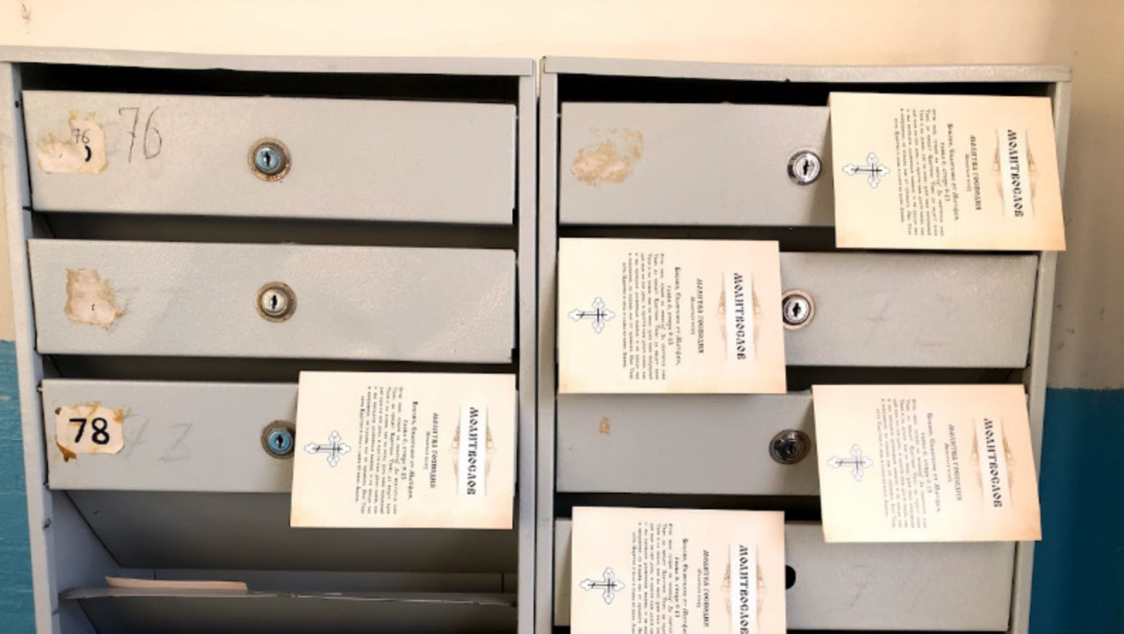 Елены Колоколовой.