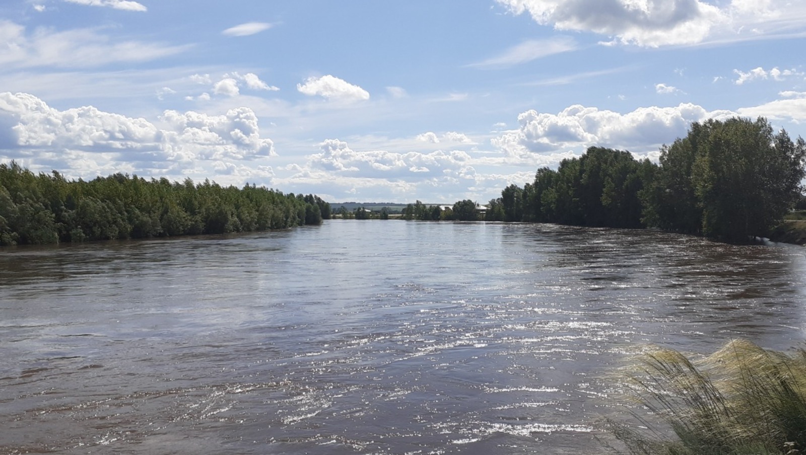 Владимира Шакиева.