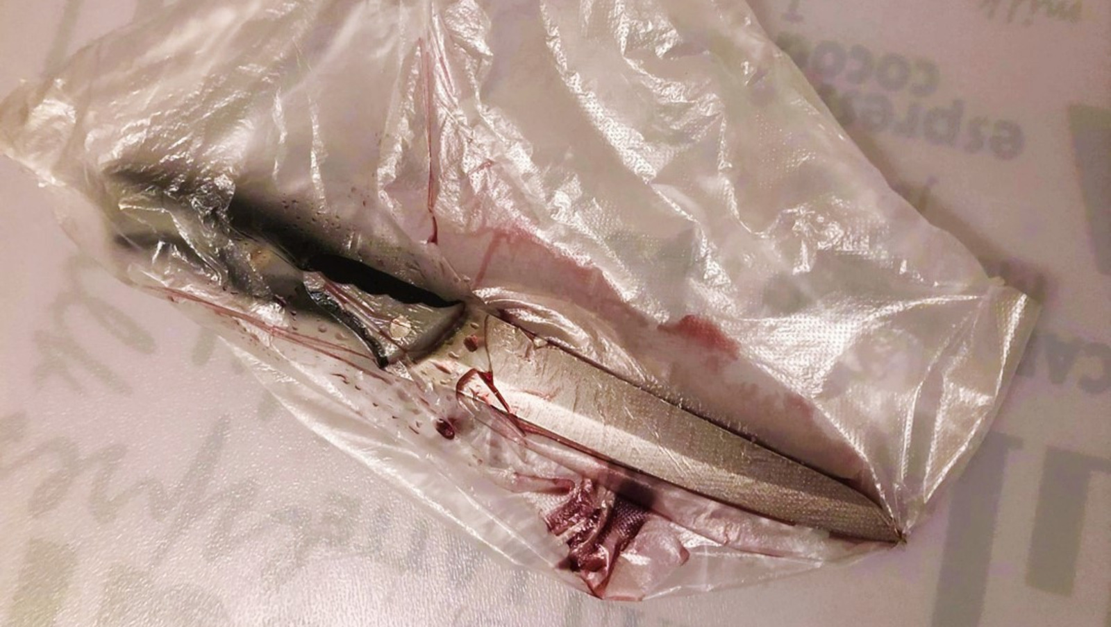 Елены Колоколовой.