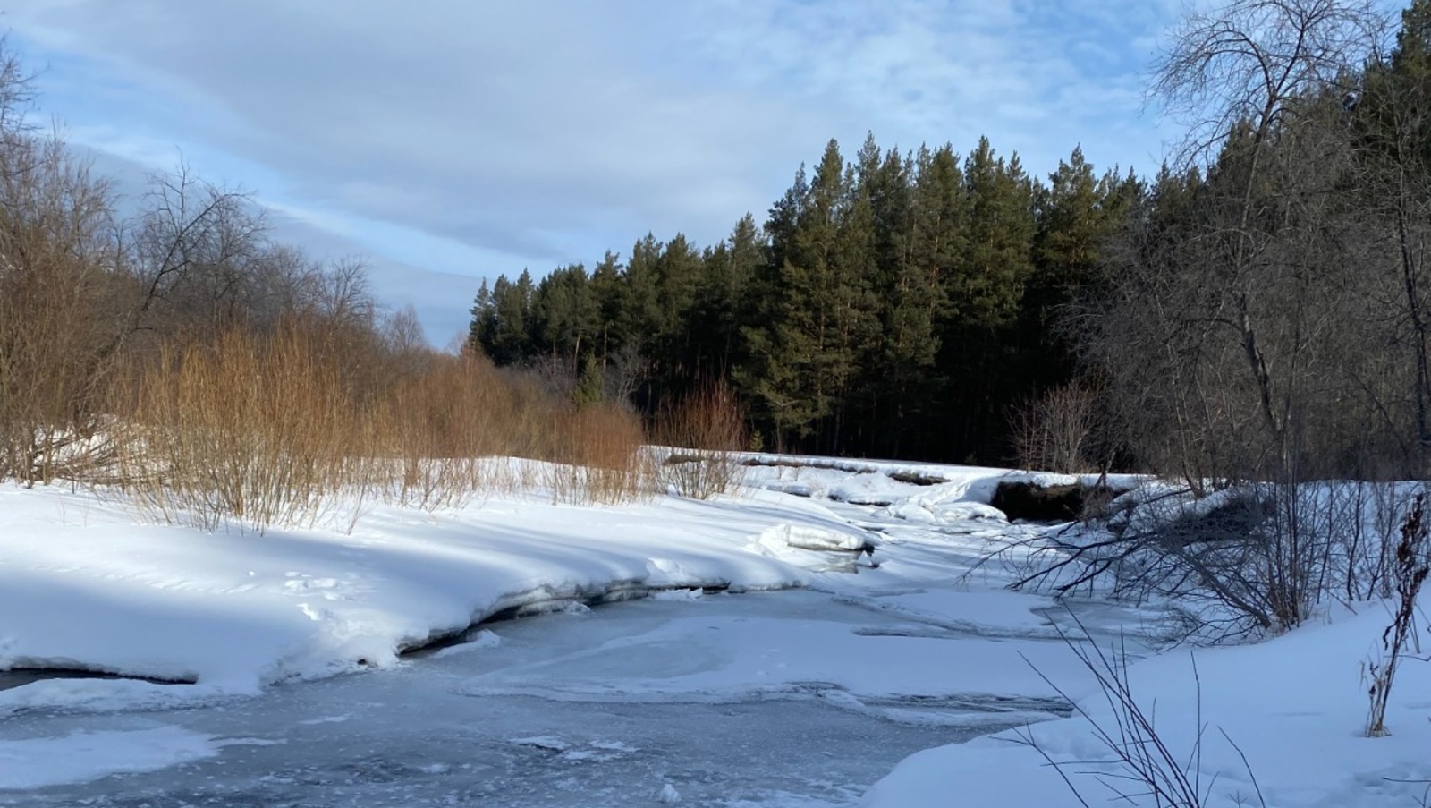 Елены Колоколовой.  «Общественная электронная газета».