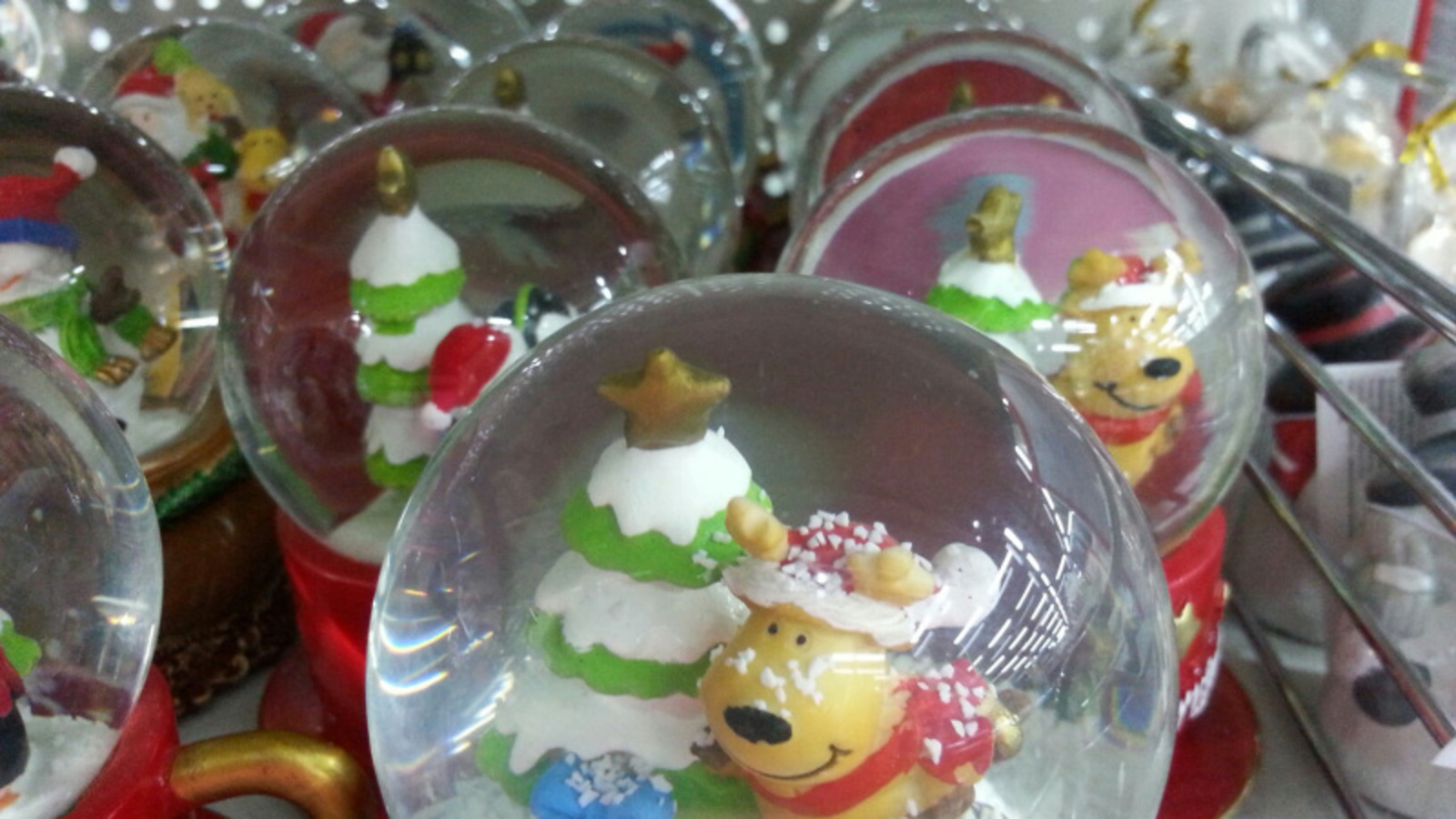 Фото автора.