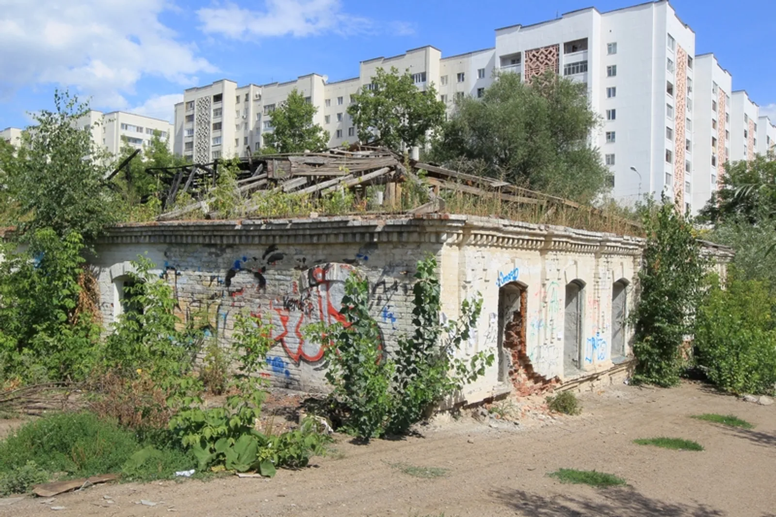 Фото Андрея Старостина.