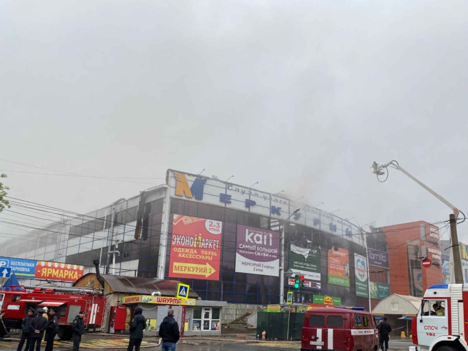 Елены Колоколовой.