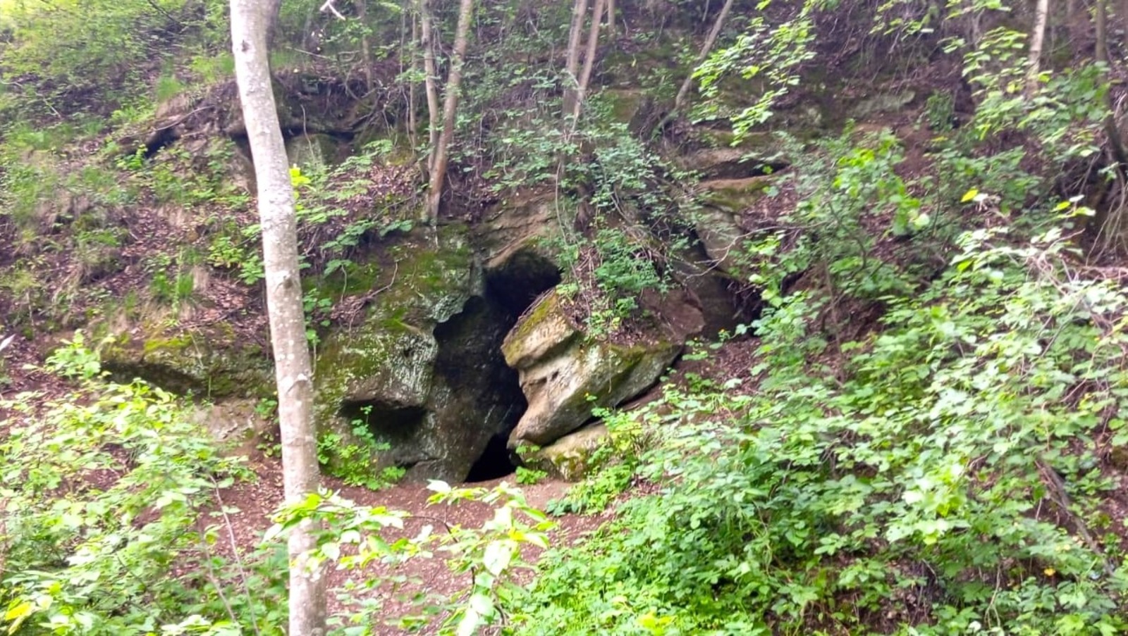 Евгении Сюткиной.