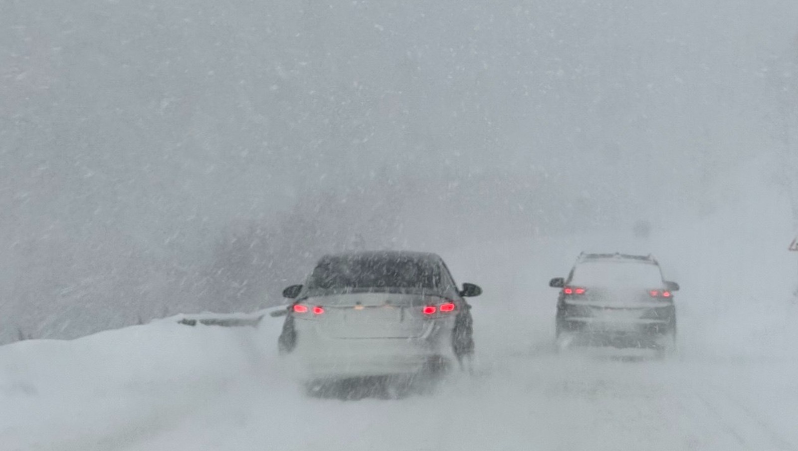 Елены Колоколовой. "Общественная электронная газета".