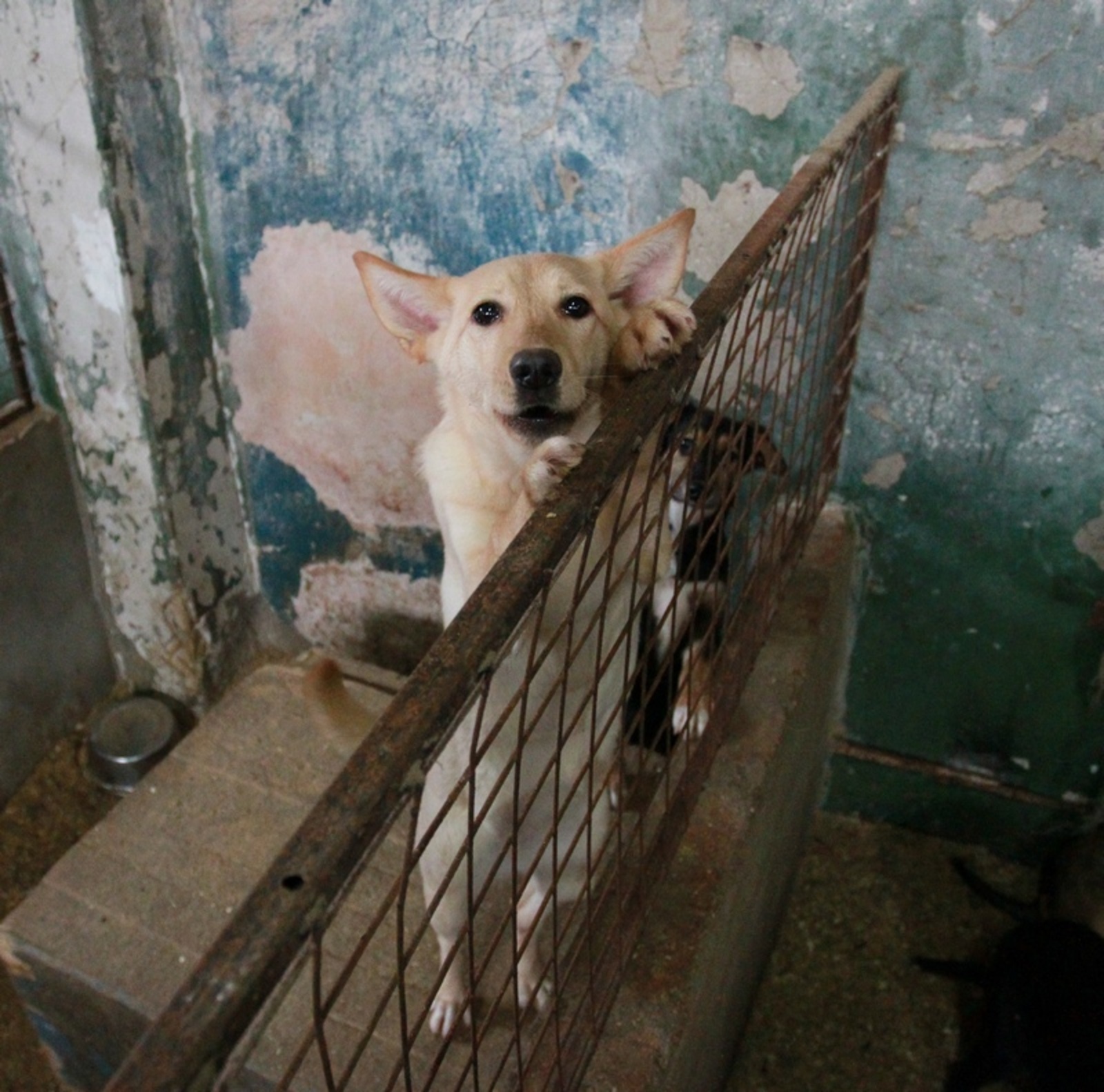 Фото Олега Яровикова.