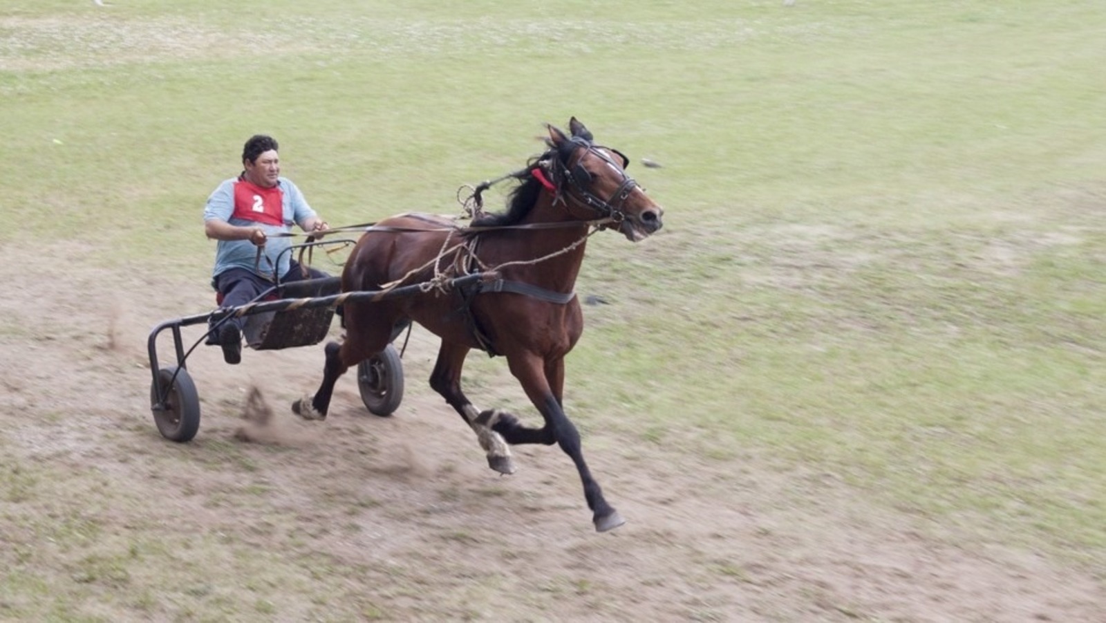 Евгении Сюткиной.