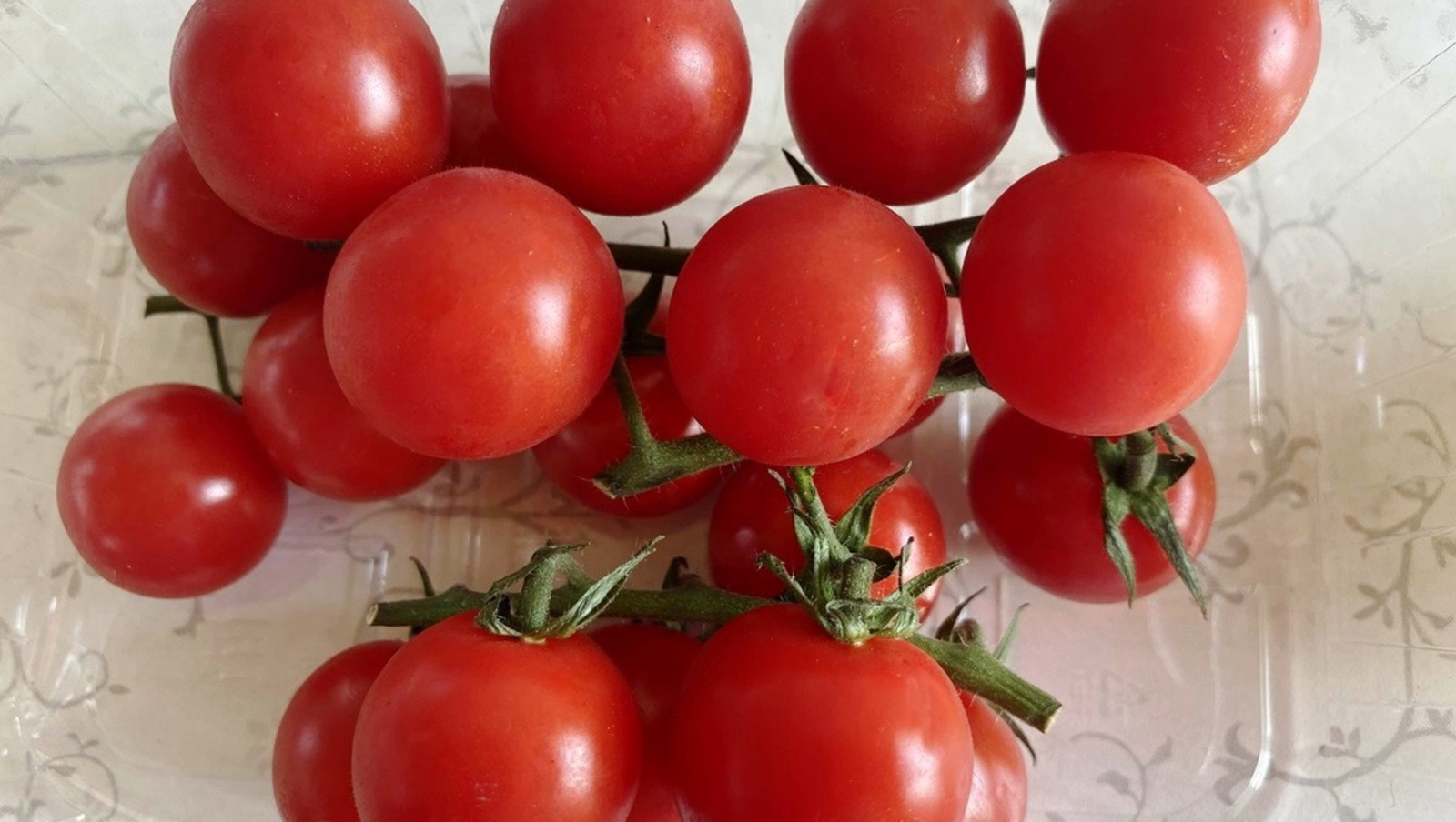 Елены Колоколовой.