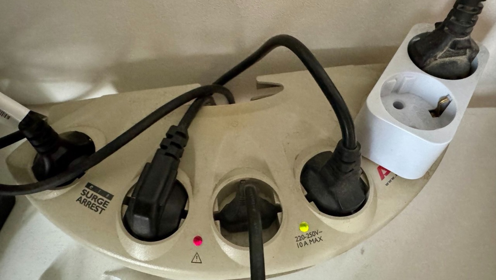 Елены Колоколовой.