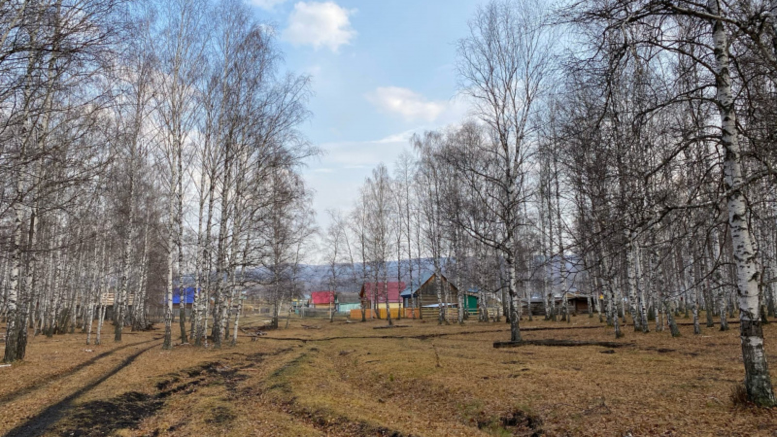 Фото автора.