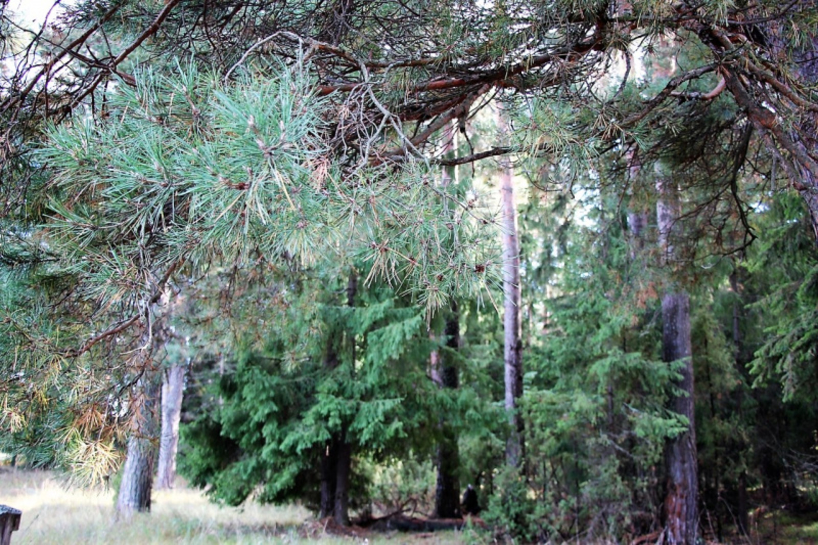 Фото Евгении Сюткиной.