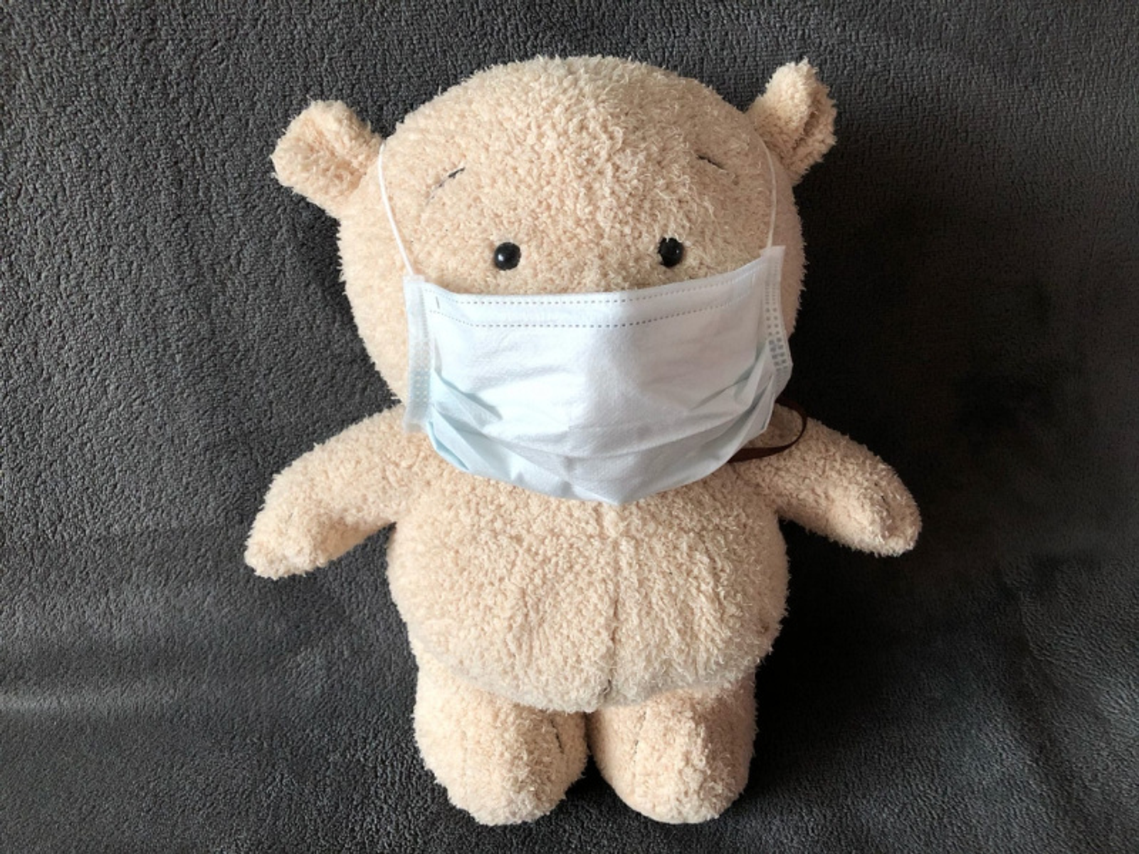 Фото Елены Колоколовой.