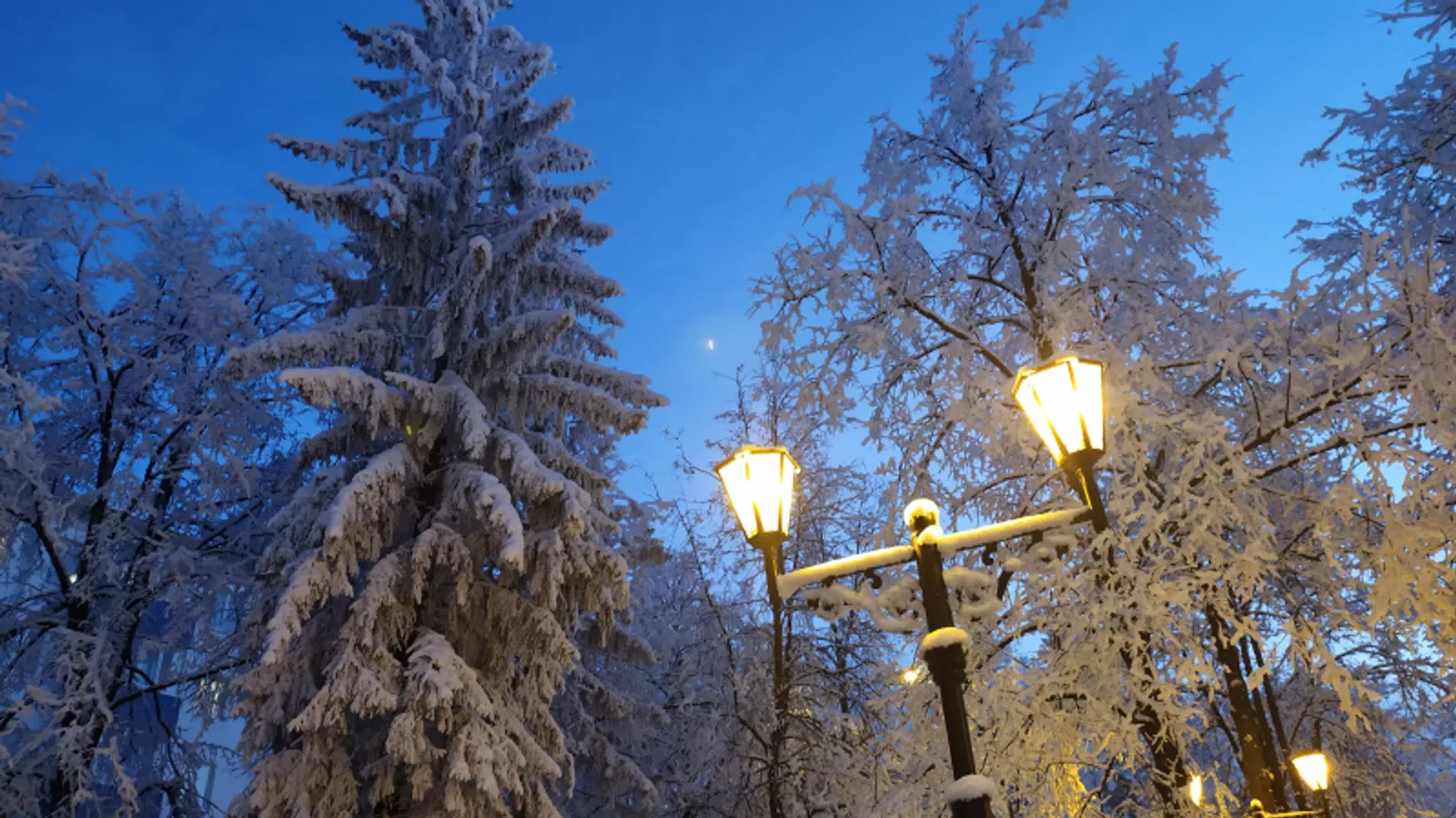 Фото Васили Саитовой.