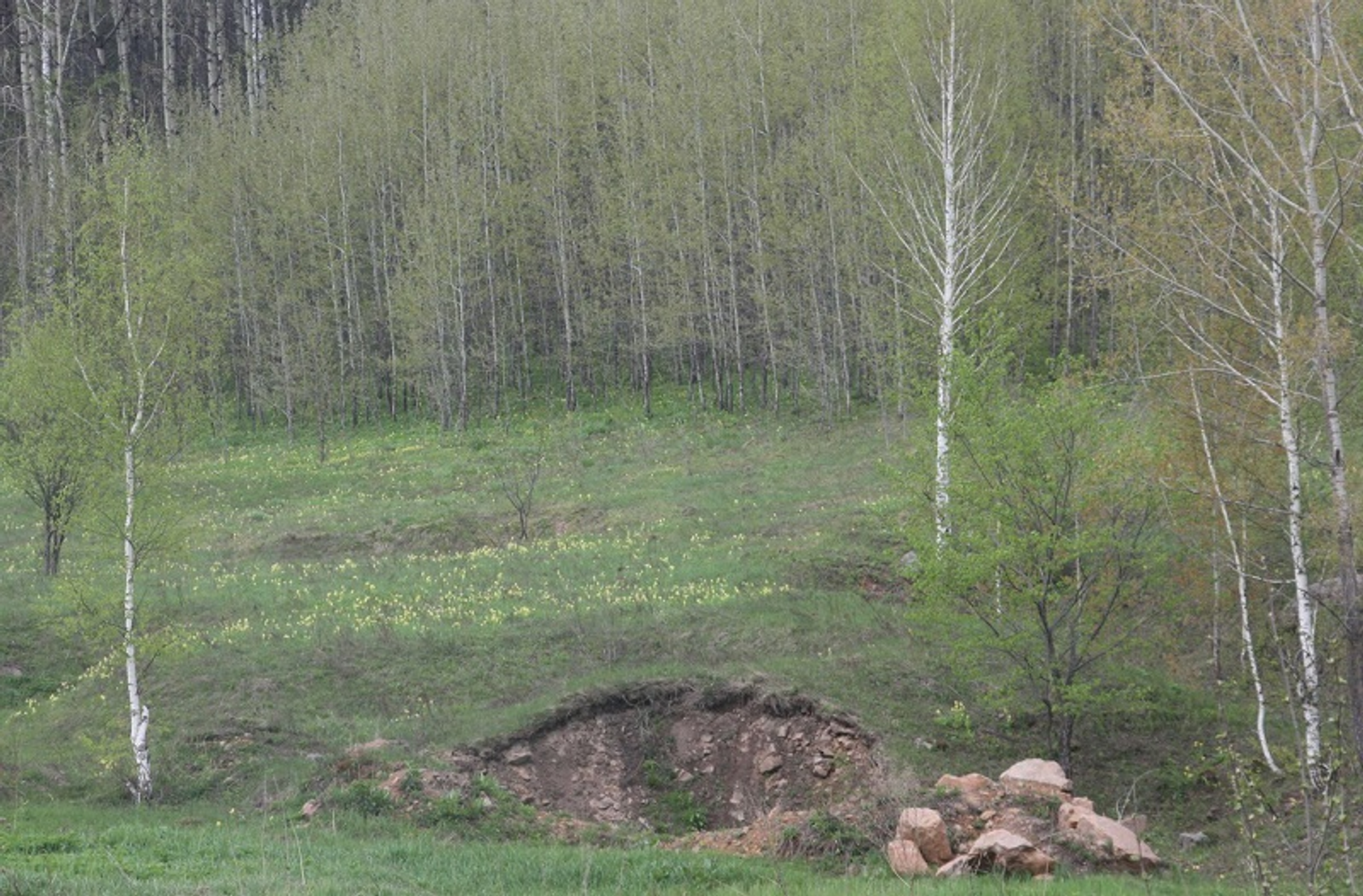 Фото Фаиля Абсатарова.